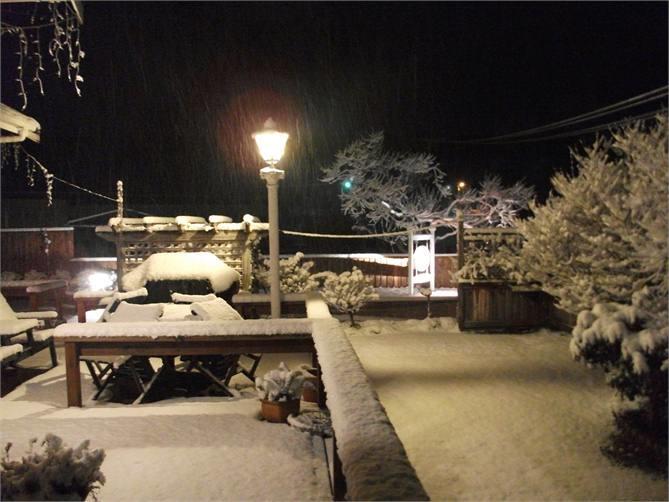 Ranfurly Cottage Raetihi エクステリア 写真